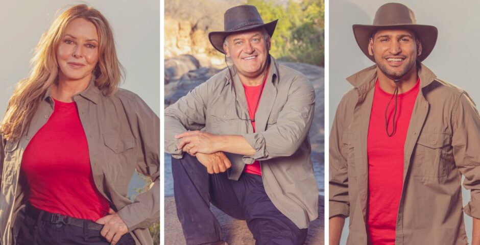 I'm A Celeb All Stars net worths