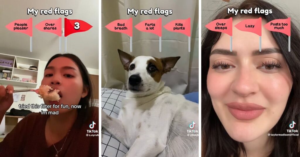 red flag filter tiktok