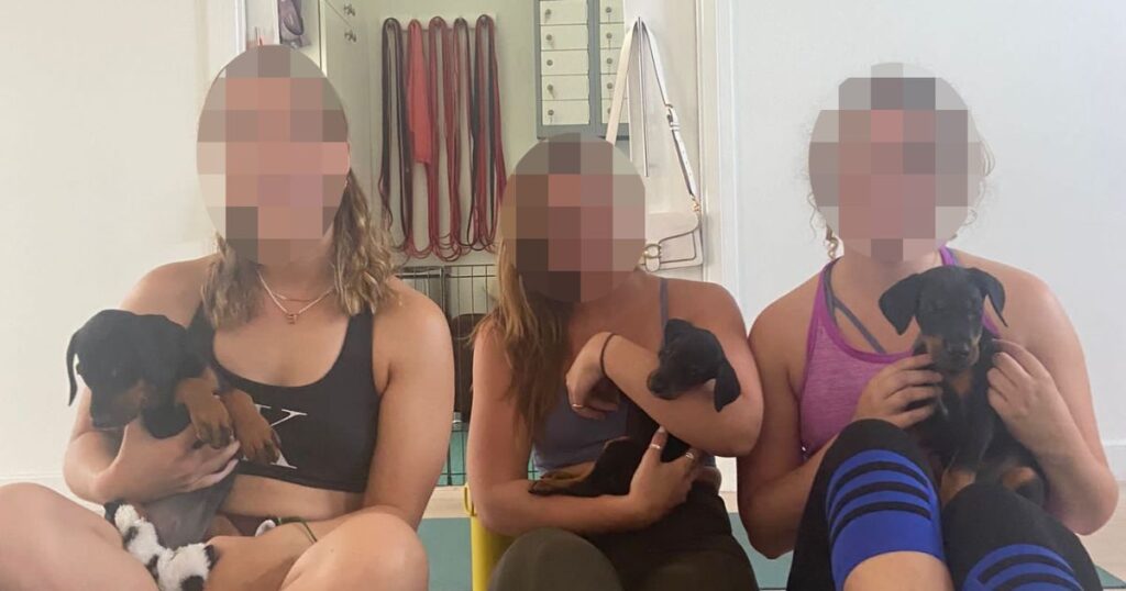 puppy yoga investigation