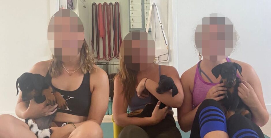 puppy yoga investigation