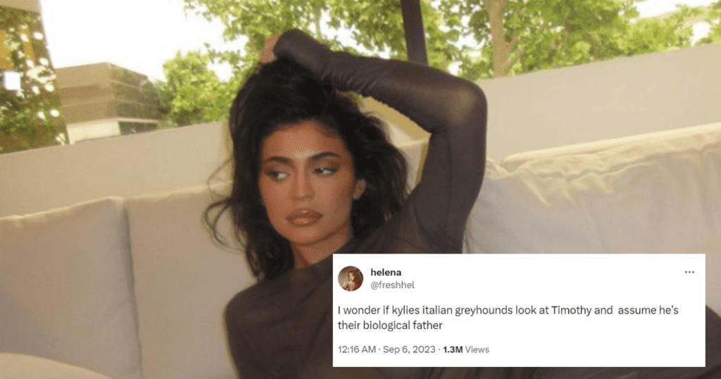 A picture of Kylie Jenner who was seen making out with Timothee Chalamet