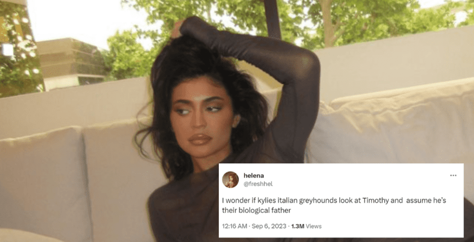 A picture of Kylie Jenner who was seen making out with Timothee Chalamet