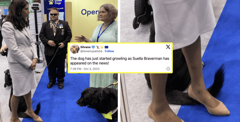 Suella Braverman stood on dog