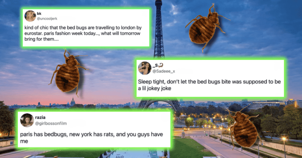 bed bug memes