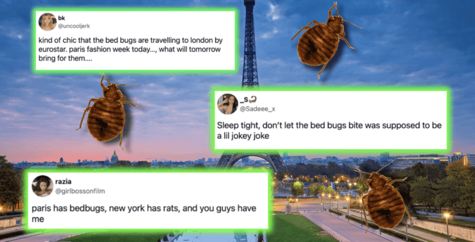 bed bug memes
