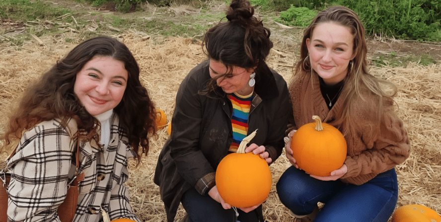 pumpkin patch