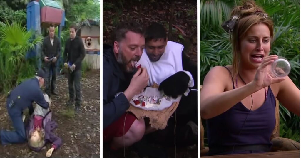 im a celeb controversies