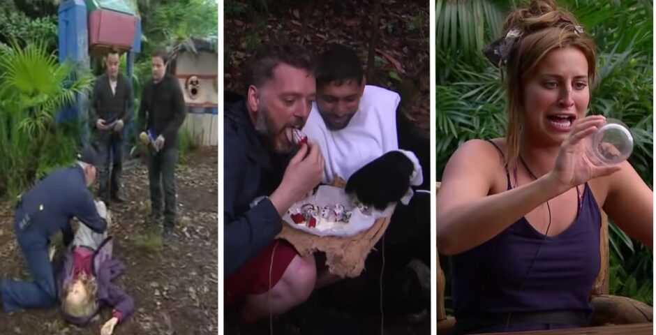 im a celeb controversies