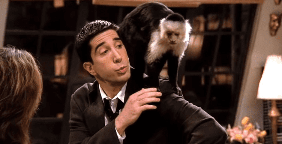 Marcel monkey Friends