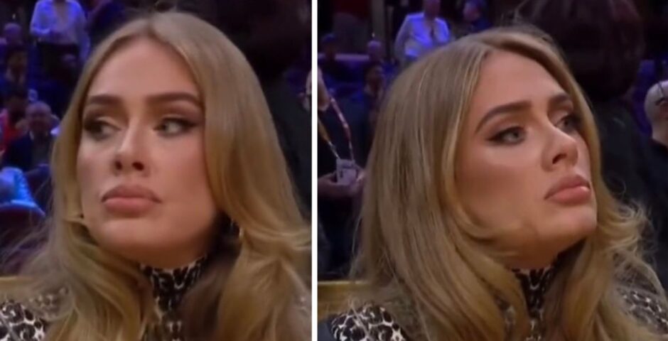 Adele explains that ignoring the cameras at a basketball game meme