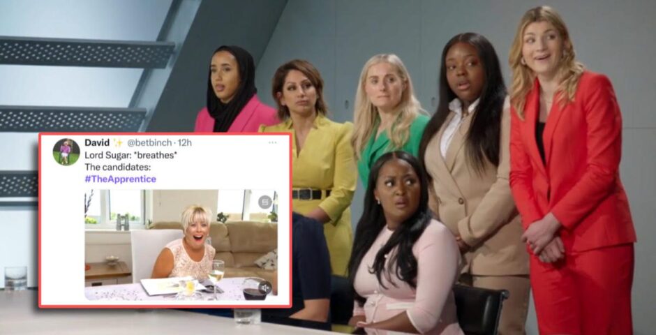 The Apprentice 2024 memes