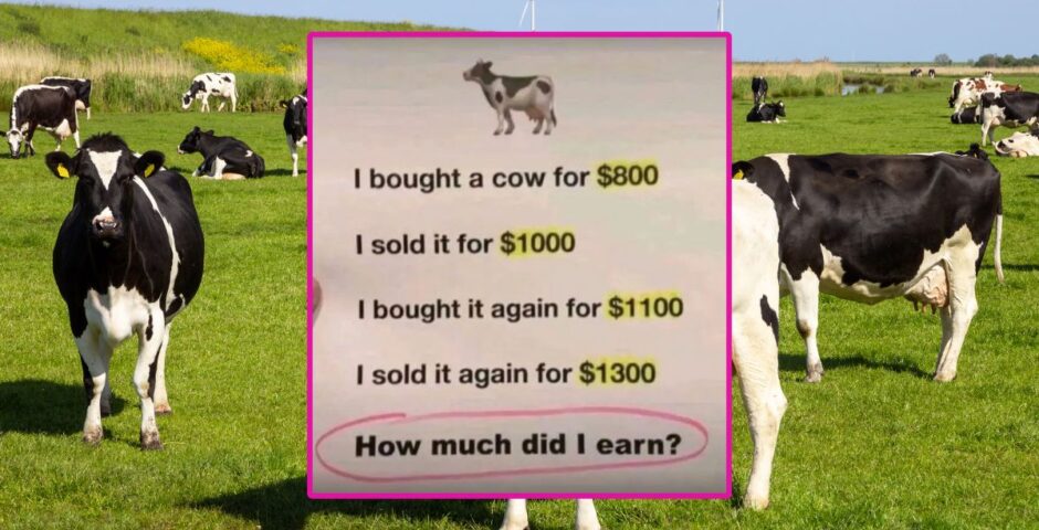 Cow maths puzzle