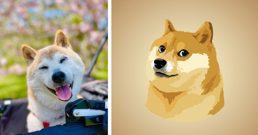 Doge meme died