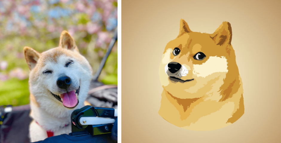Doge meme died