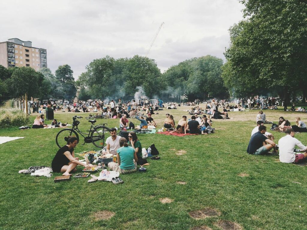 people sitting in park