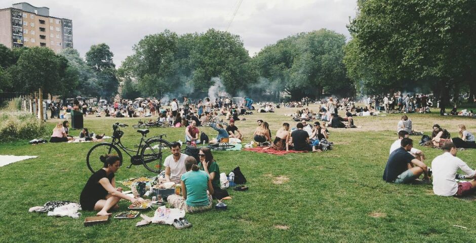people sitting in park