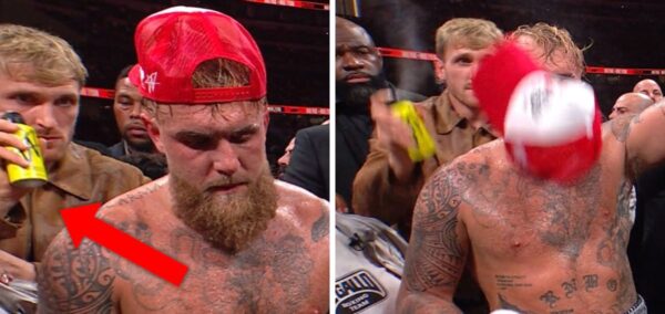 jake logan paul fight apologises