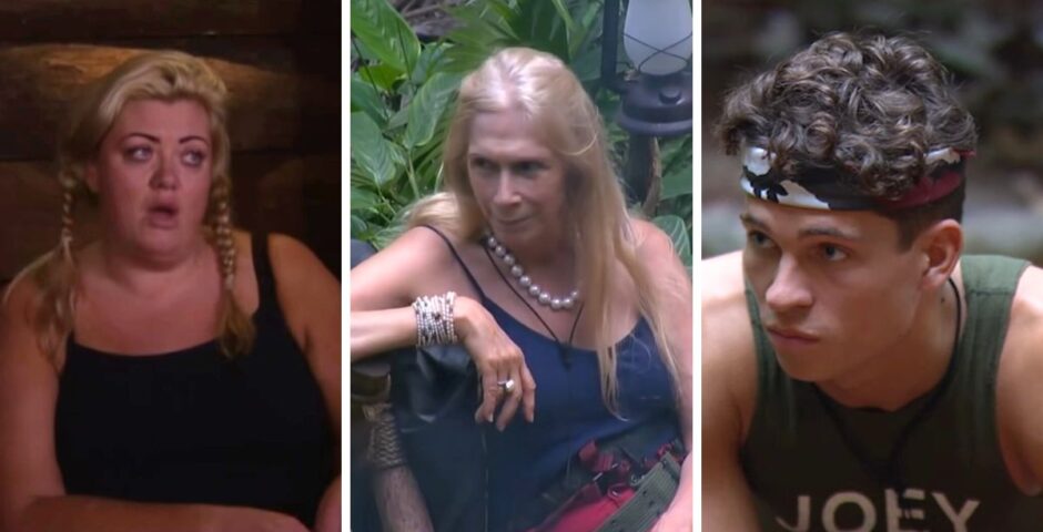 i'm a celeb