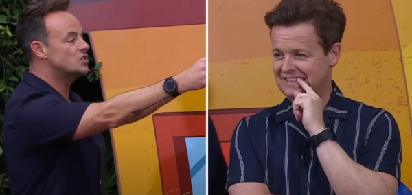 I'm A Celeb watches ant and dec