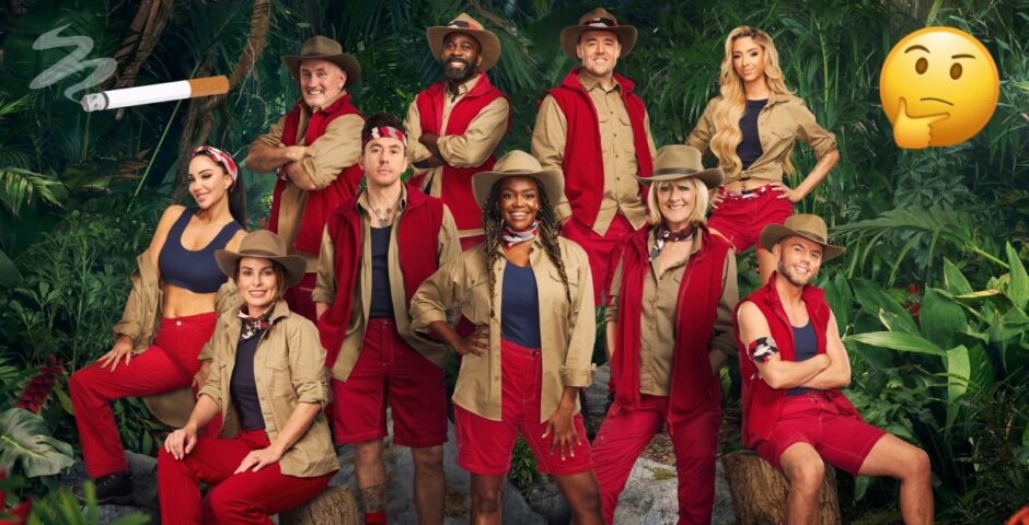 I'm a Celeb cast with cigarette graphic and confused emoji