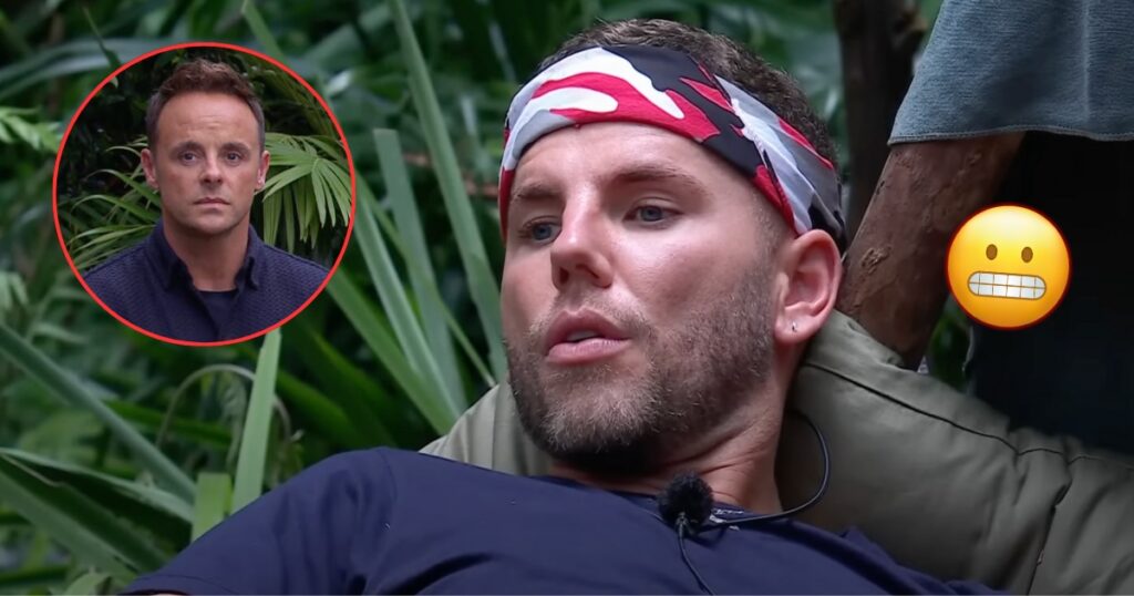 I'm A Celebrity Ant and Dean