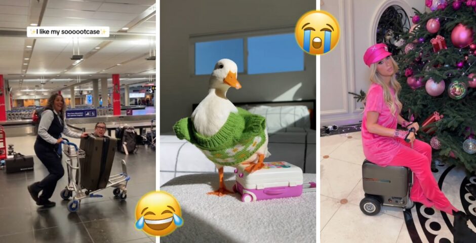 I like my suitcase memes