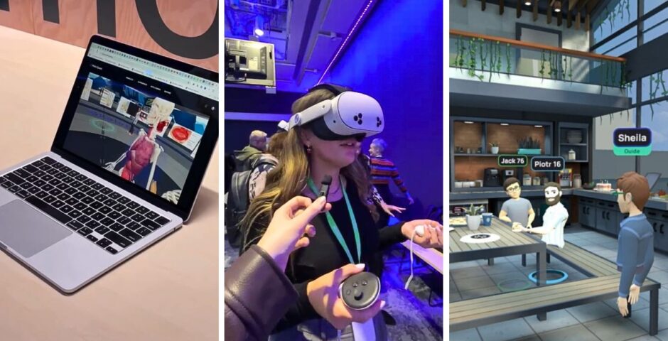 metaverse university