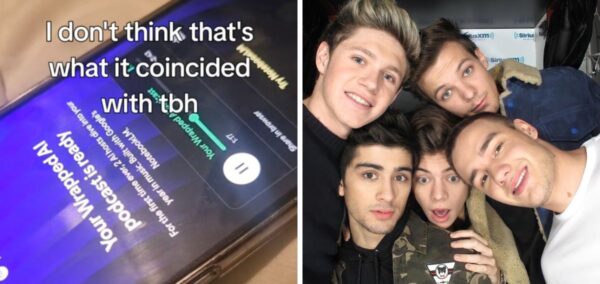 one direction ai spotify wrapped