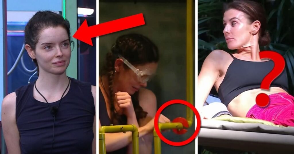 i'm a celeb evidence staged 2024