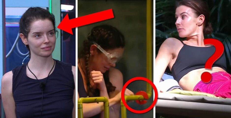 i'm a celeb evidence staged 2024