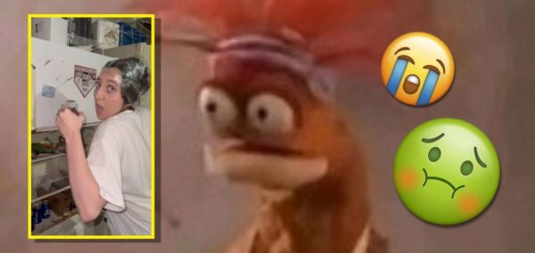 tiktok king pepe prawn stories