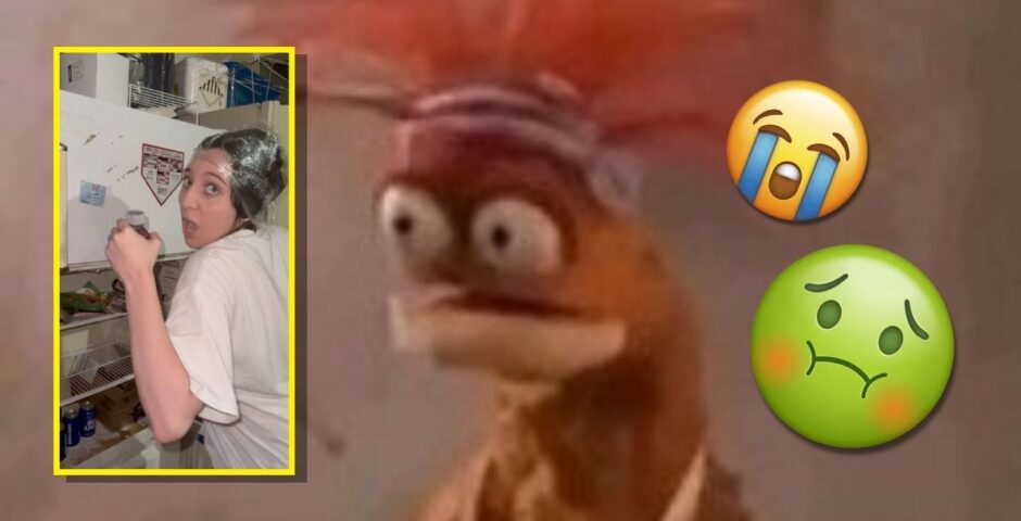 tiktok king pepe prawn stories