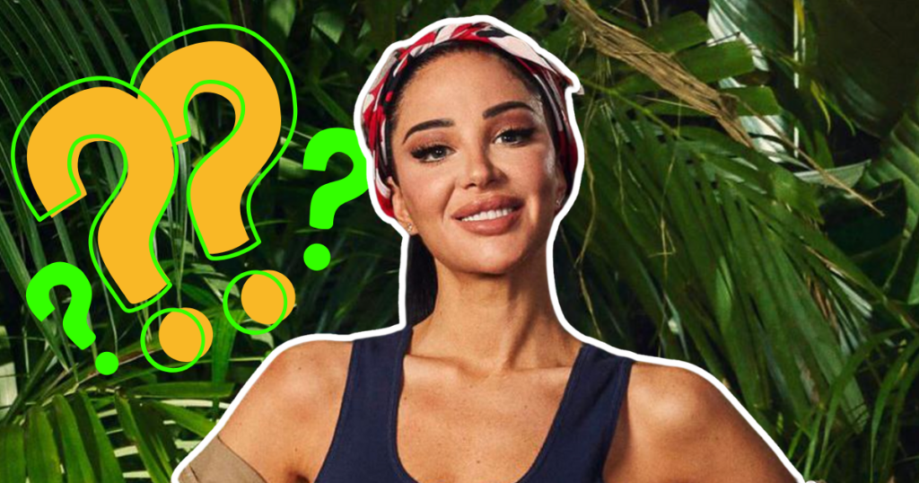 Tulisa demisexual