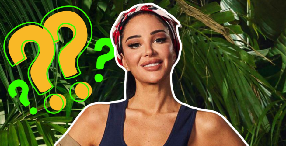 Tulisa demisexual