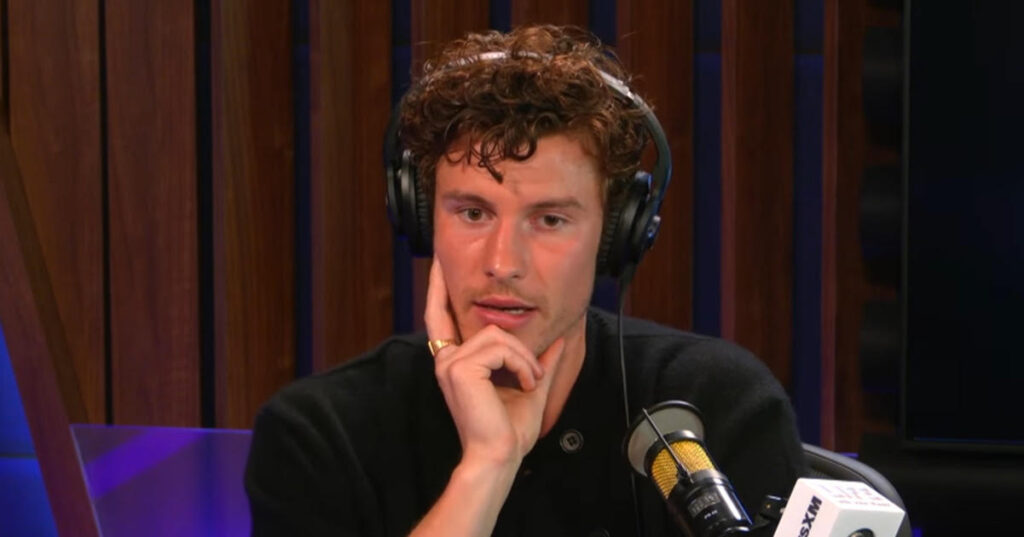 Shawn Mendes therapist