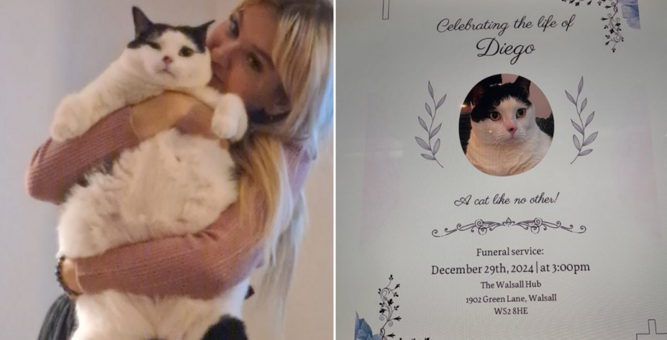 MAFS UK Sacha