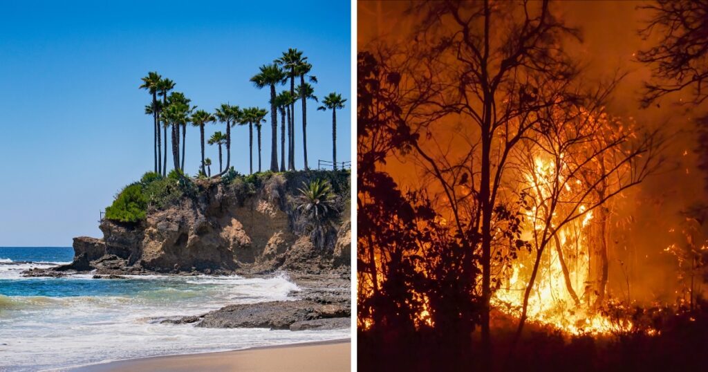 Wildfires