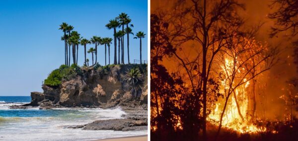Wildfires