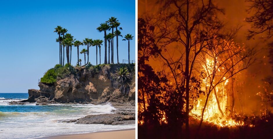 Wildfires