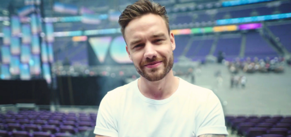 liam payne netflix show building the band