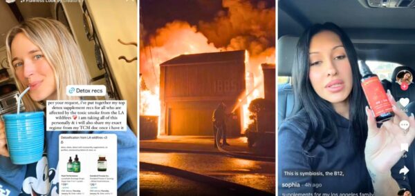los angeles fires la fires influencers