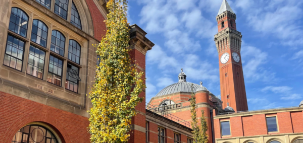 Birmingham child sex offences