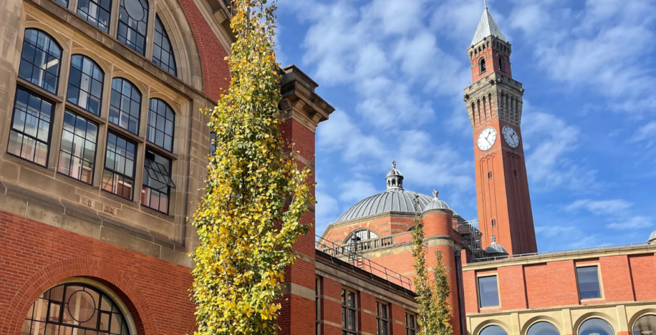 Birmingham child sex offences