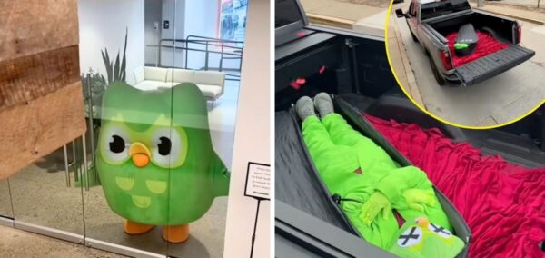 duolingo owl died
