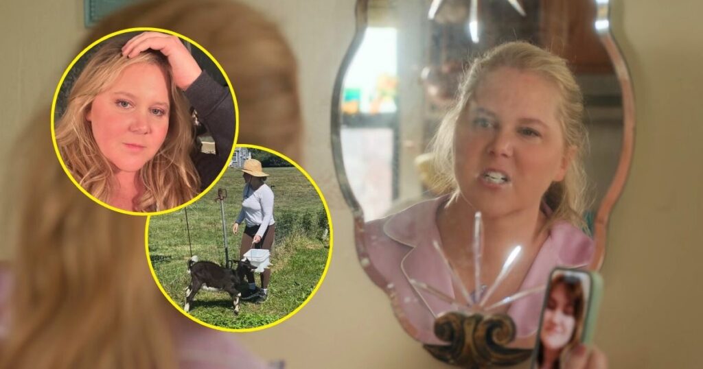 amy schumer kinda pregnant