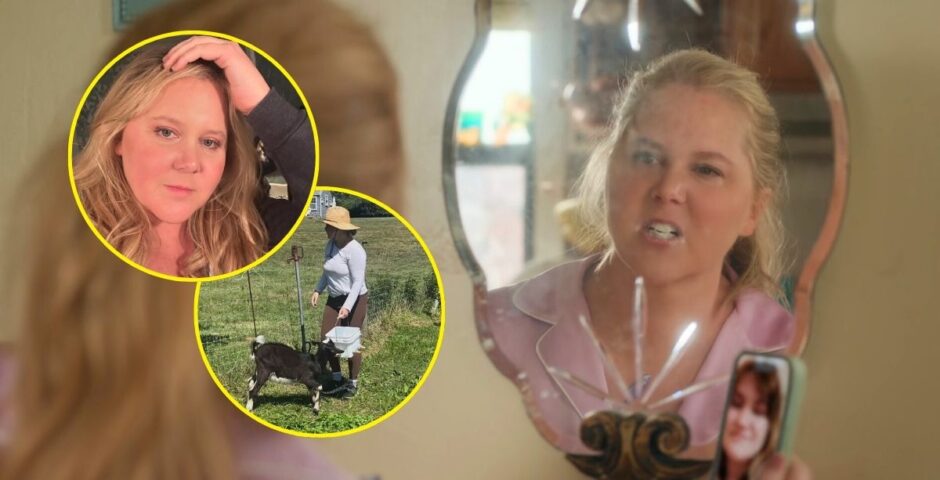 amy schumer kinda pregnant
