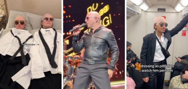 pitbull best dressed