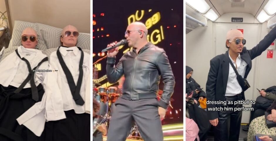 pitbull best dressed