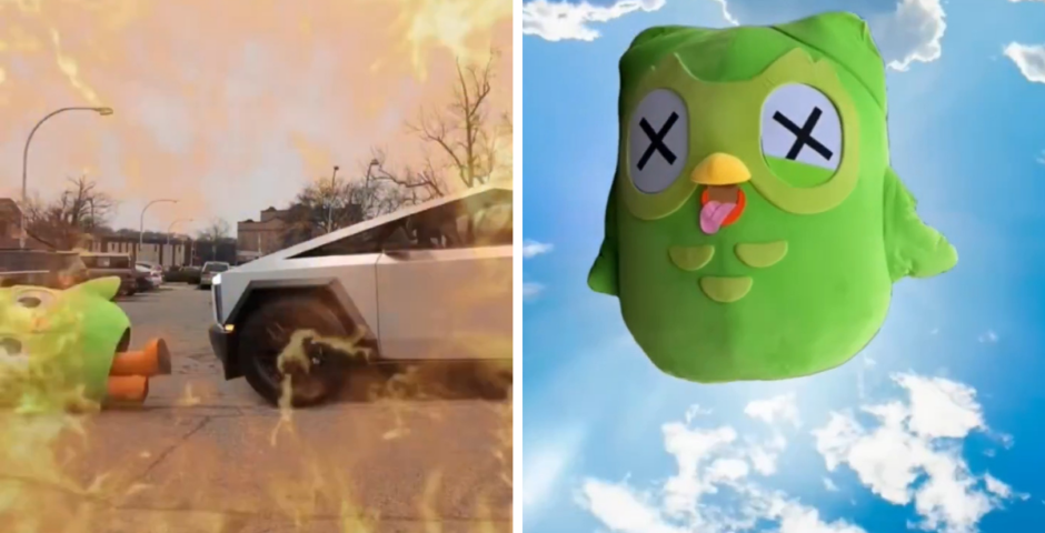 duo the duolingo owl died dead deceased cause of death