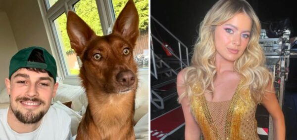 tasha ghouri andrew le page split break up strictly house dog
